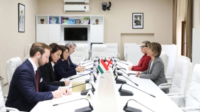 ნინო წილოსანი