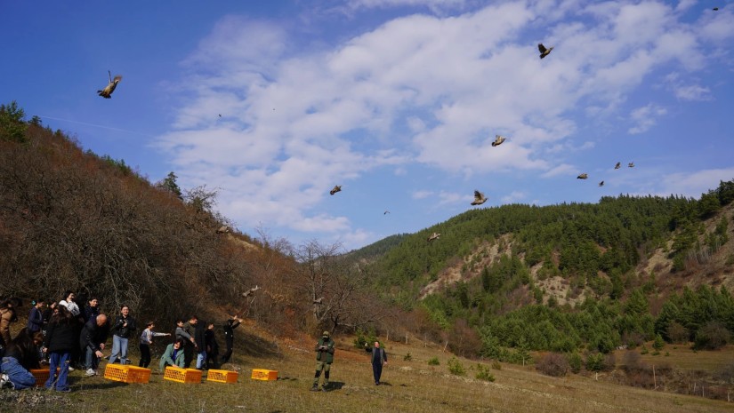 300 კაკაბი
