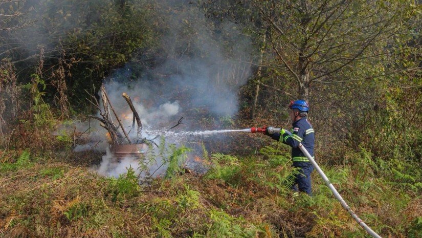 თავდაცვა