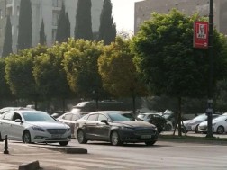 კოდექ კოდექ