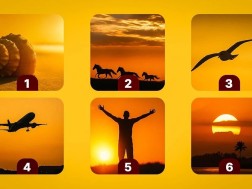 ტწსი ტწსი