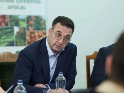 დავით სონღულაშვილი