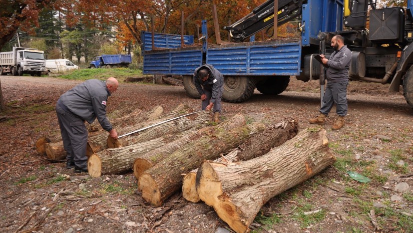 იმერეთი