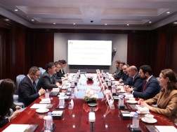 გივი მიქანაძე