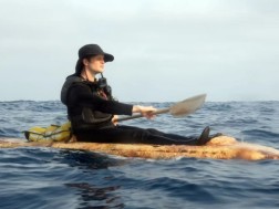 სოკოს ნავი