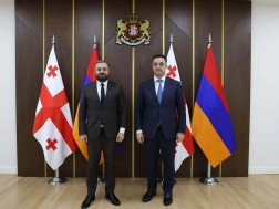 შეხვედრა სონღულაშვილი