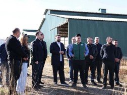 დავით სონღულაშვილი: