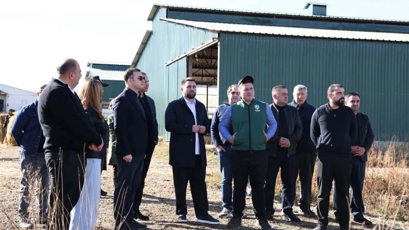 დავით სონღულაშვილი: