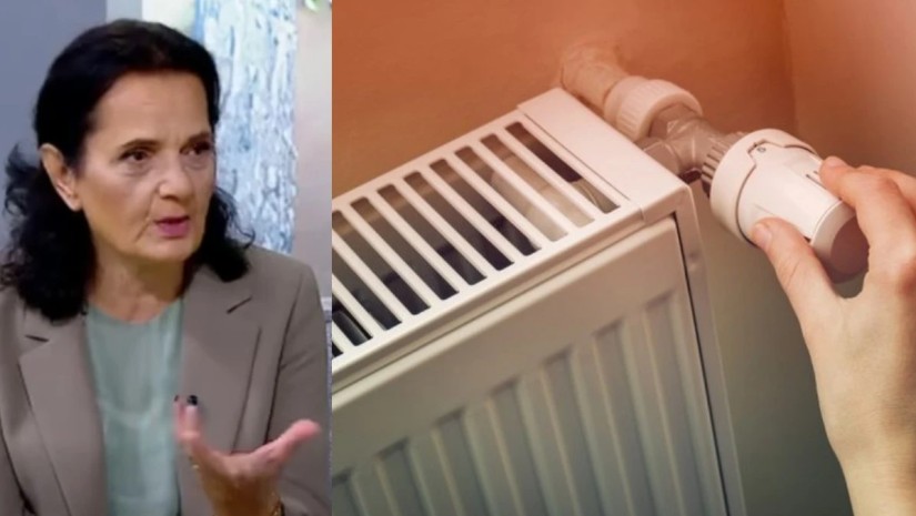  ნანი მეფარიშვილი 