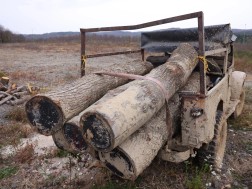  ჭიათურაში, სახელმწიფო ტყის ტერიტორიაზე ხე-ტყის უკანონო მოპოვებისა და ტრანსპორტირების ფაქტი გამოავლინდა