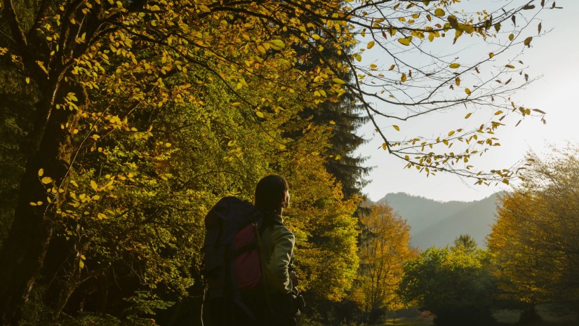 დაცული ტერიტორიები