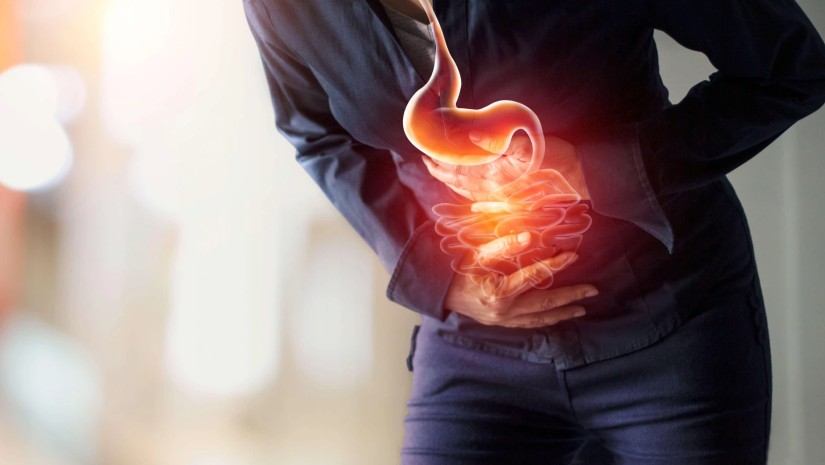 გულძმარვა