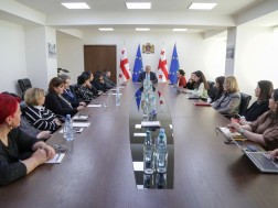  ექთნებისა და მეან-ექთნების საქმიანობის განვითარებისა და პროფესიული რეგულირების საკითხებზე, ჯანდაცვის სამინისტროში, შეხვედრა გაიმართა