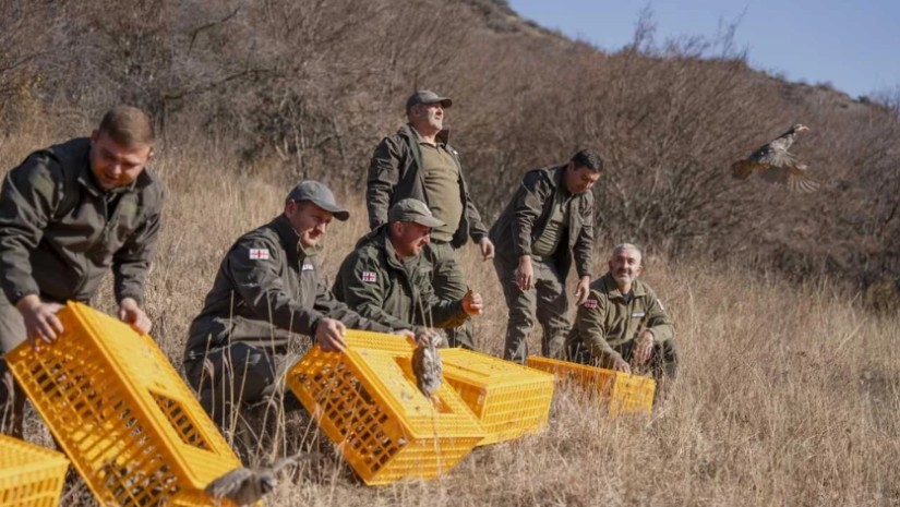თავდაცვა