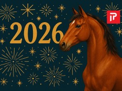 2026 წელი / ცხენის წელი