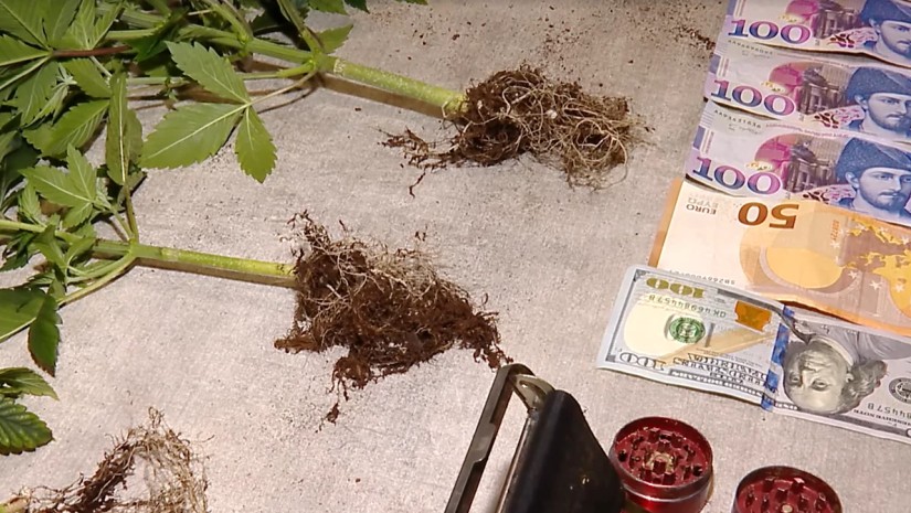 პოლიციამ 7 პირი დააკავა