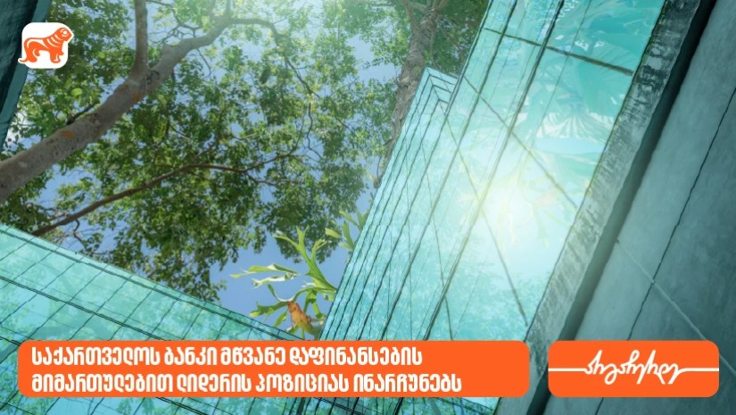 ეროვნული ბანკი: საქართველოს ბანკი მწვანე დაფინანსების მიმართულებით ლიდერის პოზიციას ინარჩუნებს