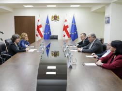  მიხეილ სარჯველაძე გაეროს ლტოლვილთა უმაღლესი კომისარიატის (UNHCR) საქართველოს წარმომადგენლობის ხელმძღვანელს შეხვდა