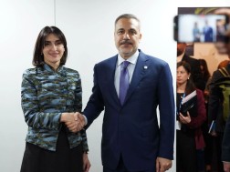 მაკა ბოჭორიშვილი თურქეთის საგარეო საქმეთა მინისტრს შეხვდა