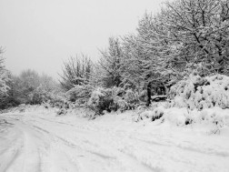 გზა თოვლი