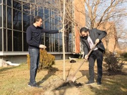 საქპატენტი