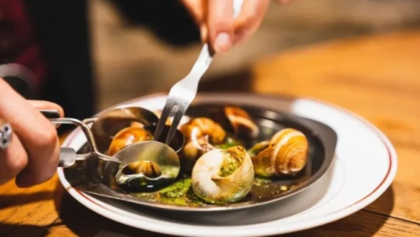 ლოკოკინები