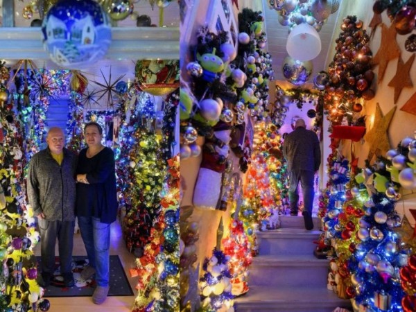 ნაძვის ხე