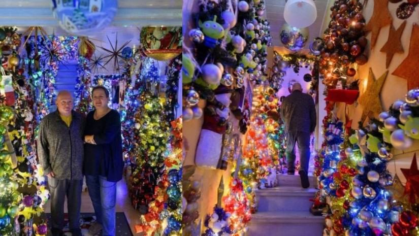 ნაძვის ხე