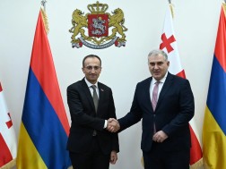  მიხეილ სარჯველაძე სომხეთის შრომისა და სოციალურ საკითხთა მინისტრს შეხვდა