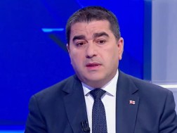 შალვა პაპუაშვილი