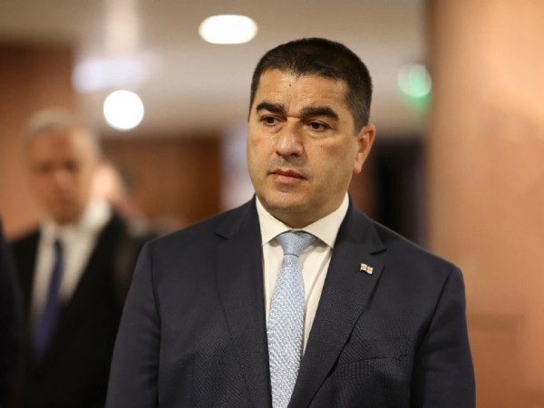 შალვა პაპუაშვილი შალვა პაპუაშვილი