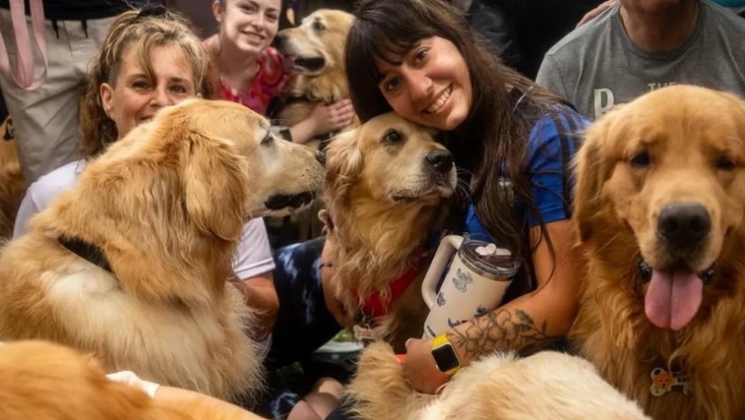 ოქროსფერი რეტრივერი