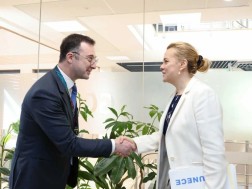 დავით სონღულაშვილი დავით სონღულაშვილი