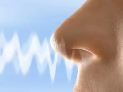 სუნთქვა სუნთქვა