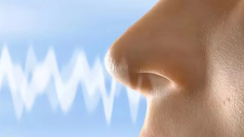 სუნთქვა