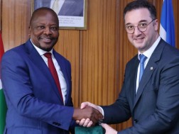 დავით სონღულაშვილი დავით სონღულაშვილი