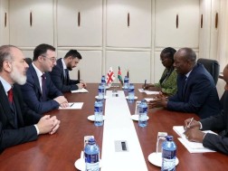 დავით სონღულაშვილი დავით სონღულაშვილი