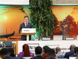 დავით სონღულაშვილი დავით სონღულაშვილი