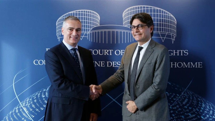 საქართველოს იუსტიციის მინისტრი  ადამიანის უფლებათა ევროპული სასამართლოს თავმჯდომარეს შეხვდა