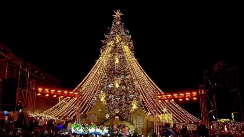 ნაძვის ხე