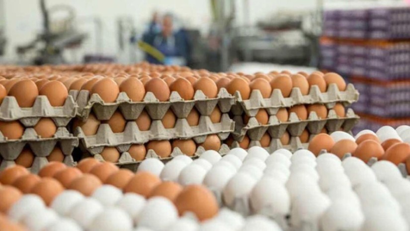 კვერცხი