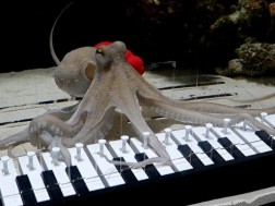 რვაფეხა 