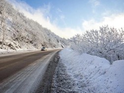 ნიჩბისი