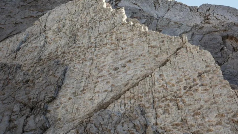 იტალიის მთებში დინოზავრების ათასობით ნაკვალევი აღმოაჩინეს