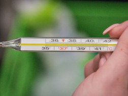 37°C გრადუსი