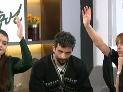 დასახელება დასახელება