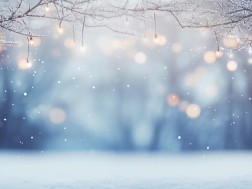 დეკემბრის ამინდი 