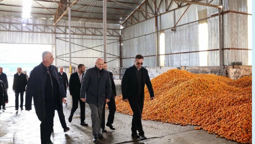 დავით სონღულაშვილი