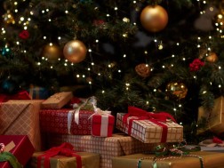 ნაძვის ხე