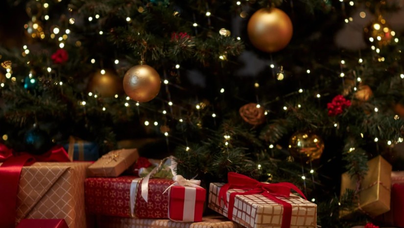 ნაძვის ხე